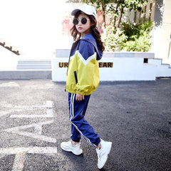 Girls Clothing Sets Teenage Autumn Tracksuit Kids Plus Size Sportswear Girls Suit Costume Sports  Suits 6 8 10 12 years olds
